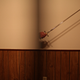 Illustration for article titled Shooting Challenge: Double Exposure, Gallery